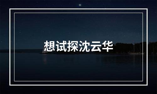 想试探沈云华