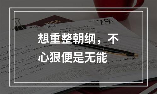 想重整朝纲，不心狠便是无能