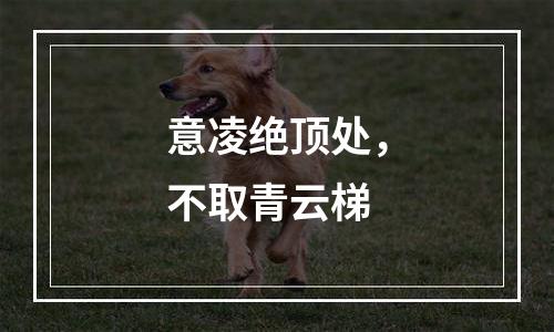 意凌绝顶处，不取青云梯