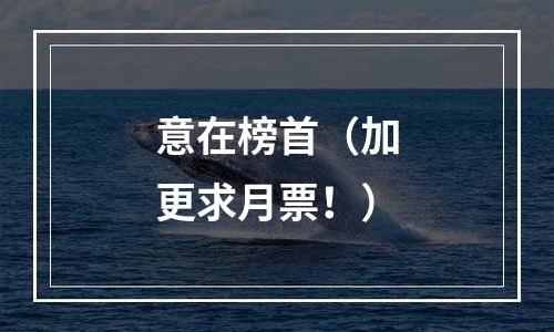 意在榜首（加更求月票！）