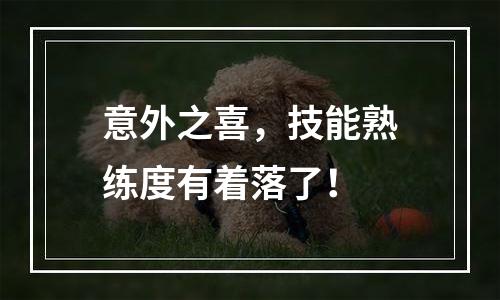 意外之喜，技能熟练度有着落了！