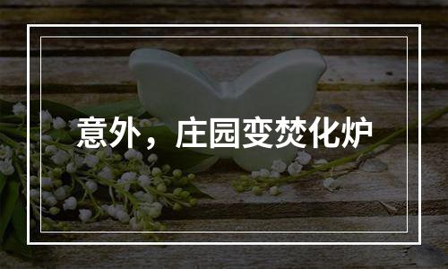 意外，庄园变焚化炉