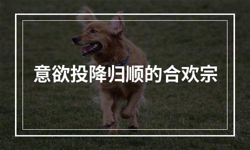 意欲投降归顺的合欢宗