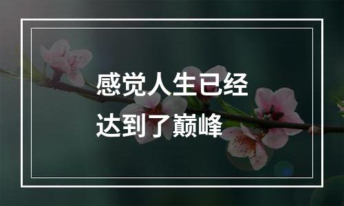 感觉人生已经达到了巅峰