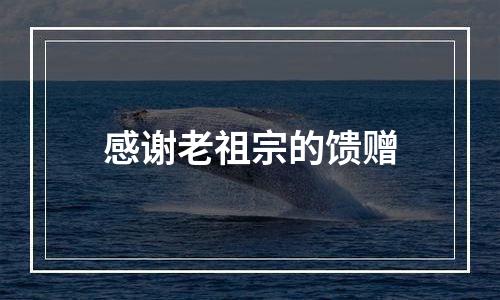 感谢老祖宗的馈赠