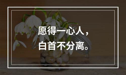 愿得一心人，白首不分离。
