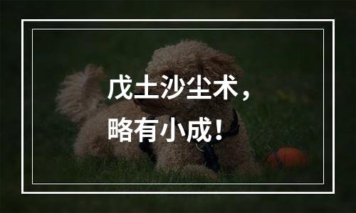 戊土沙尘术，略有小成！