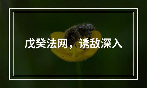 戊癸法网，诱敌深入