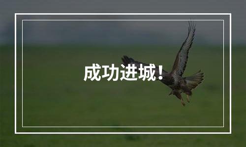 成功进城！