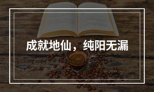 成就地仙，纯阳无漏