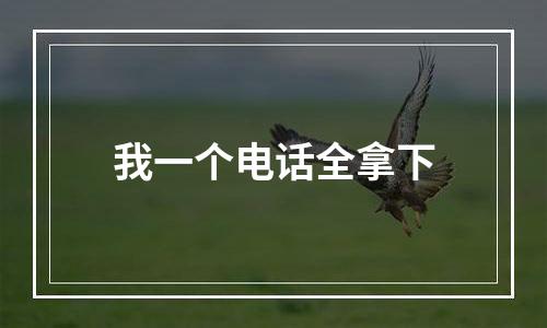 我一个电话全拿下