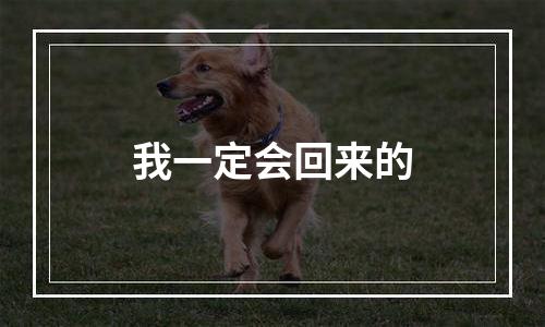 我一定会回来的