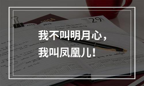 我不叫明月心，我叫凤凰儿！