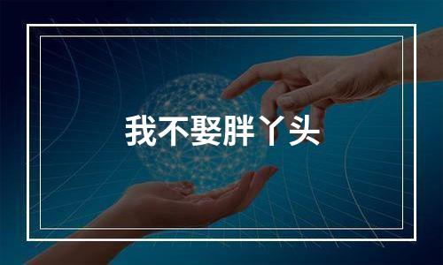 我不娶胖丫头