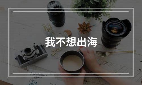 我不想出海
