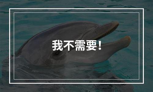 我不需要！
