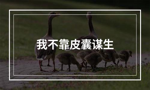 我不靠皮囊谋生