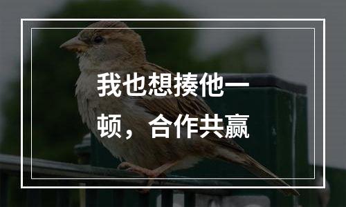 我也想揍他一顿，合作共赢