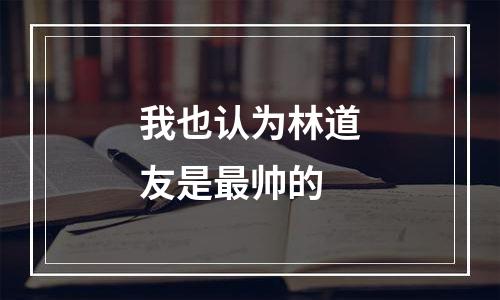 我也认为林道友是最帅的