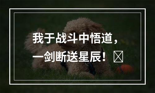 我于战斗中悟道，一剑断送星辰！​