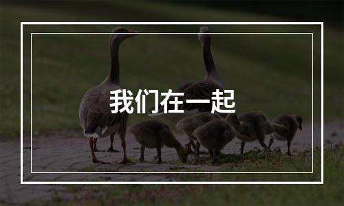 我们在一起