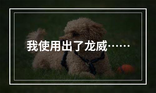 我使用出了龙威……