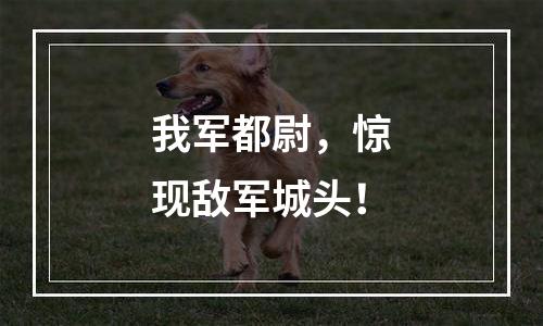 我军都尉，惊现敌军城头！
