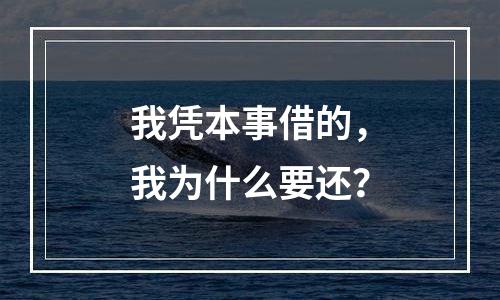 我凭本事借的，我为什么要还？