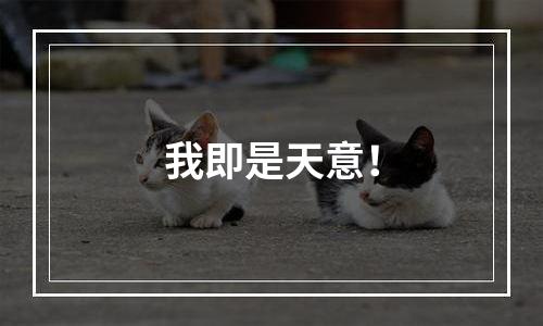 我即是天意！