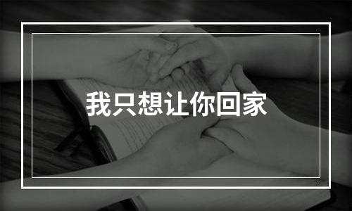 我只想让你回家