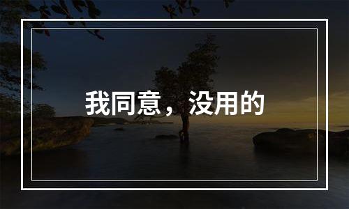 我同意，没用的