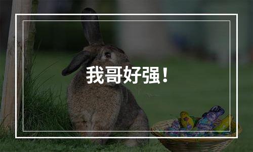 我哥好强！