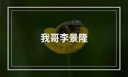 我哥李景隆