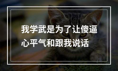 我学武是为了让傻逼心平气和跟我说话