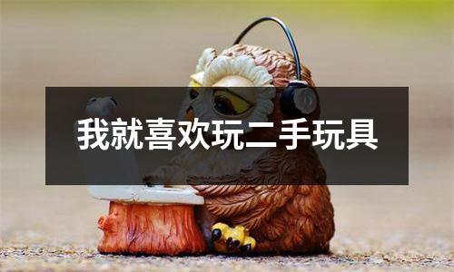 我就喜欢玩二手玩具