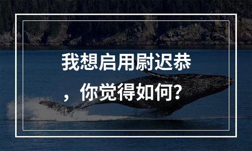 我想启用尉迟恭，你觉得如何？
