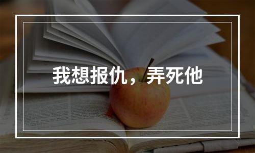 我想报仇，弄死他