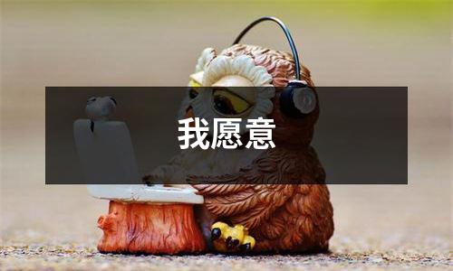 我愿意