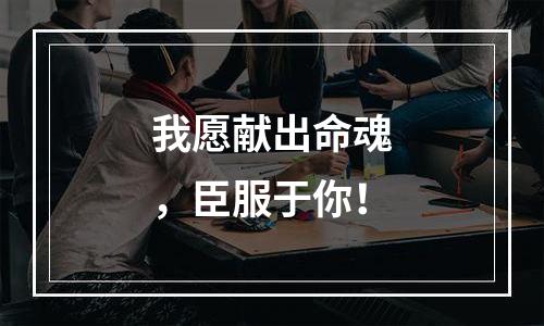 我愿献出命魂，臣服于你！