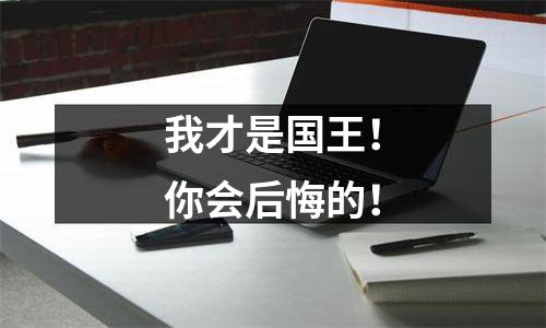 我才是国王！你会后悔的！