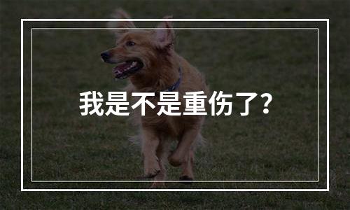 我是不是重伤了？