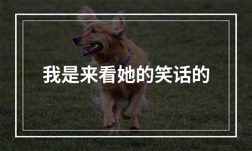 我是来看她的笑话的