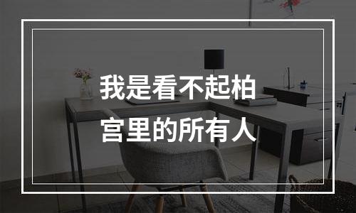 我是看不起柏宫里的所有人