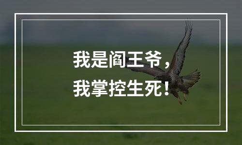 我是阎王爷，我掌控生死！