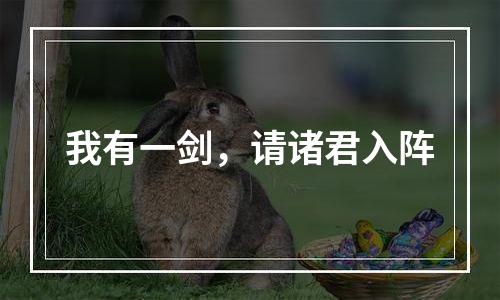 我有一剑，请诸君入阵