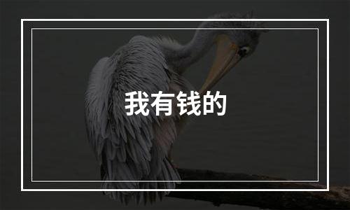 我有钱的