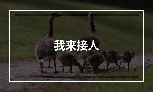 我来接人