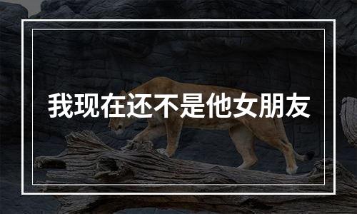 我现在还不是他女朋友