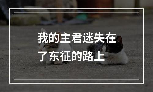 我的主君迷失在了东征的路上