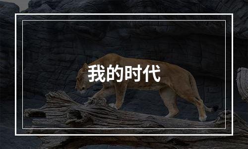 我的时代